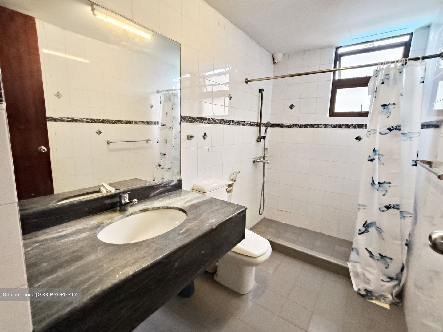 Equatorial Apartments (D15), Apartment #447427091